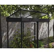 Serre Ivy plaques en polycarbonate 0,7 mm 124 x 64 cm noir
