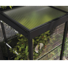 Serre Ivy plaques en polycarbonate 0,7 mm 124 x 64 cm noir