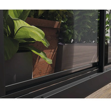 Serre Ivy plaques en polycarbonate 0,7 mm 124 x 64 cm noir