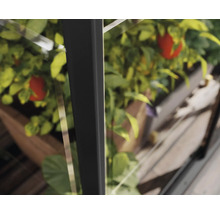Serre Ivy plaques en polycarbonate 0,7 mm 124 x 64 cm noir