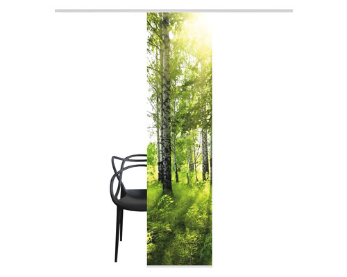 Schiebegardine mit Birkenwaldmotiv und schwarzem Stuhl