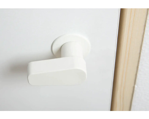 Türbeschlag mit Griff