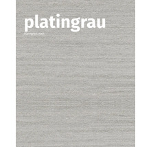 Platingrau Oberfläche mit matter Optik