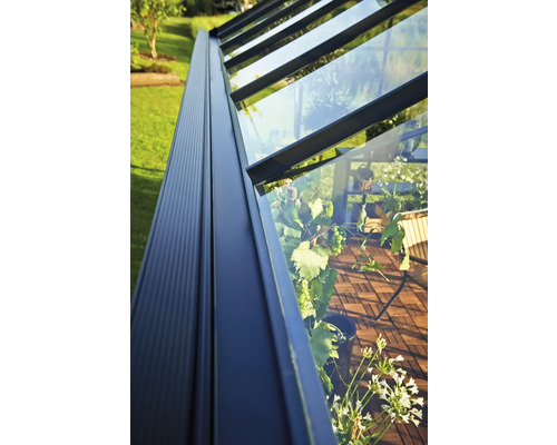 Detailansicht eines Gewächshauses mit Glasdach und Pflanzen im Inneren.