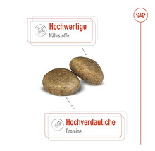Hundefutter trocken ROYAL CANIN Maxi Adult 4 kg
