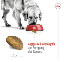 Hundefutter trocken ROYAL CANIN Maxi Adult 4 kg
