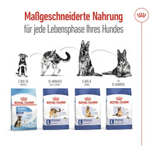 Hundefutter trocken ROYAL CANIN Maxi Adult 4 kg