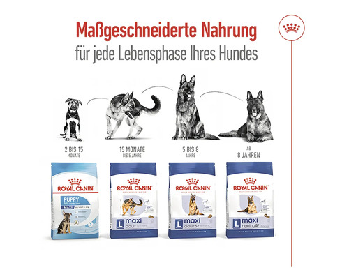 Royal Canin Hundefutter für jede Lebensphase vom Welpen bis zum Senior