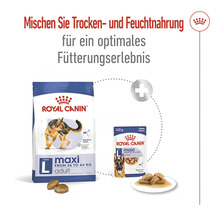 Hundefutter trocken ROYAL CANIN Maxi Adult 4 kg