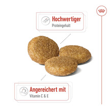 Drei Kroketten für Tiernahrung mit Hinweisen zu hohem Proteingehalt und Vitaminanreicherung