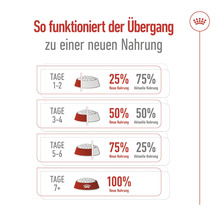Diagramm zur Umstellung auf neues Hundefutter