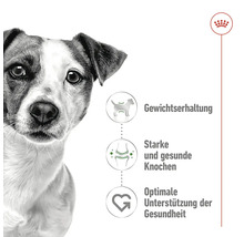 Royal Canin Hundefutter Mini Adult, 2 kg