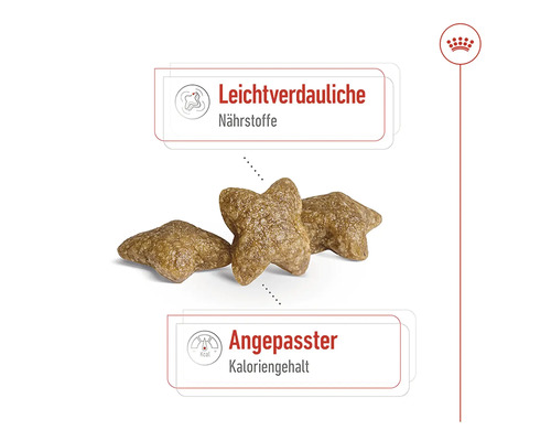 Hundefutter mit leichtverdaulichen Nährstoffen und angepasstem Kaloriengehalt