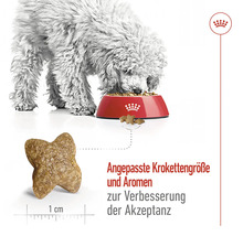 Royal Canin Hundefutter Mini Adult, 2 kg