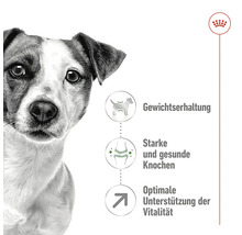 Hundefutter trocken ROYAL CANIN Mini Mature 2 kg