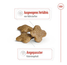 Hundefutter trocken ROYAL CANIN Mini Mature 2 kg