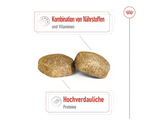 Zwei Trockenfutterstücke mit Hinweisen zu Nährstoffkombination und hochverdaulichen Proteinen