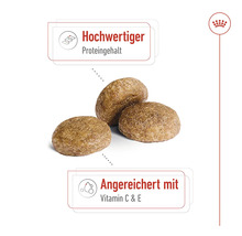 Royal Canin Hundefutter Medium Adult 7+, 4 kg