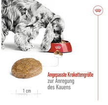 Royal Canin Hundefutter Medium Adult 7+, 4 kg