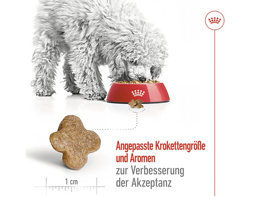 Hundefutterkrokette und Hund frisst aus Futternapf