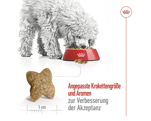 Ein Hund frisst Hundefutter aus einer Schüssel. Angepasste Krokettengröße und Aromen zur Verbesserung der Akzeptanz.