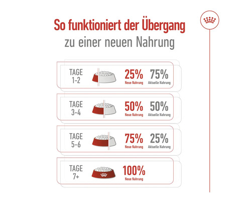 Diagramm zur Umstellung auf eine neue Hundenahrung über einen Zeitraum von sieben Tagen