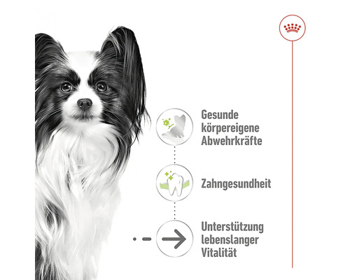 Produktinformationen für Hundefutter: Gesunde Abwehrkräfte, Zahngesundheit und Unterstützung lebenslanger Vitalität