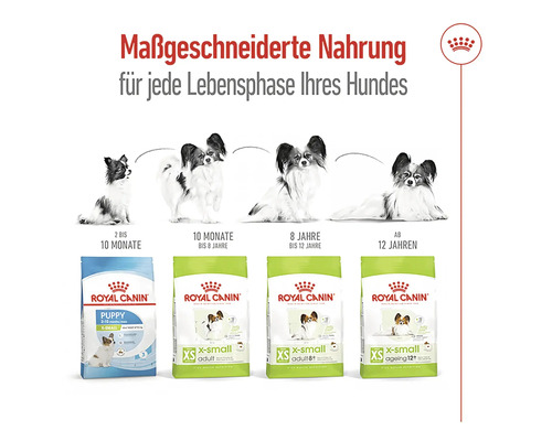 Royal Canin Hundefutter für verschiedene Lebensphasen kleiner Hunderassen