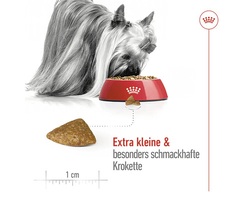 Hund frisst extra kleine und schmackhafte Krokette aus einer roten Schüssel