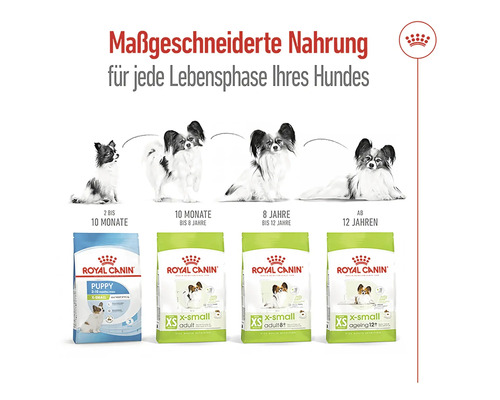 Royal Canin Hunde Trockenfutter für jede Lebensphase
