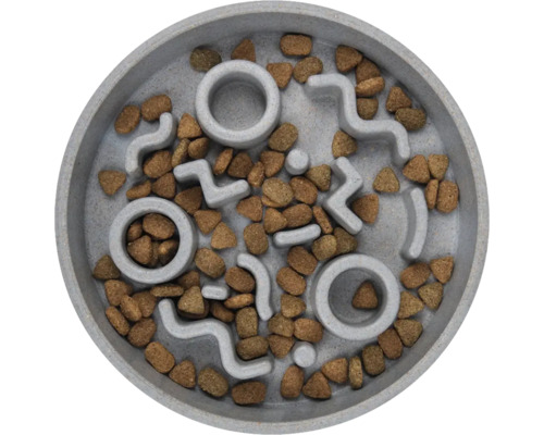 Gamelle pour animaux de compagnie avec structure de labyrinthe et nourriture