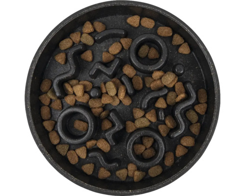 Gamelle pour chien avec nourriture