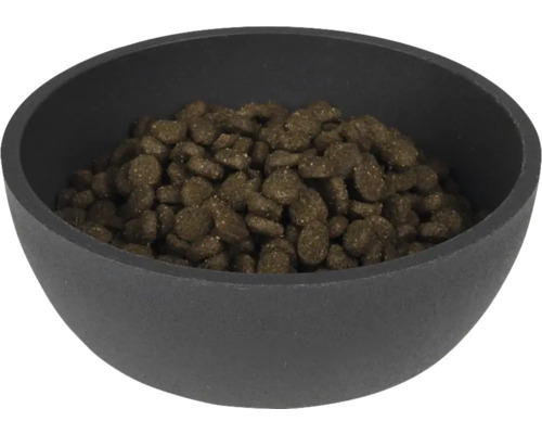 Futternapf mit Trockenfutter für Haustiere