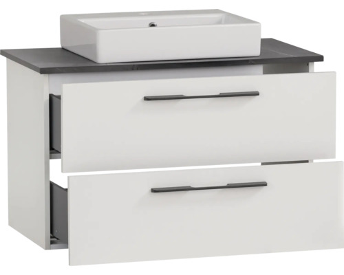 Meuble sous-lavabo avec deux tiroirs et lavabo à poser