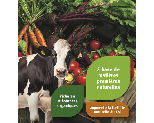 Image de légumes et d''une vache sur le thème des ingrédients naturels