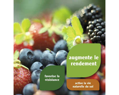 Fraises, myrtilles et mûres avec la mention Augmente le rendement, Favorise la résistance, Active la vie naturelle du sol