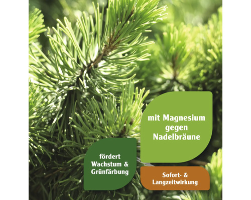 Nahaufnahme von Kiefernnadeln mit Hinweisen zu Magnesium gegen Nadelbräune, Förderung von Wachstum und Grünfärbung sowie Sofort- und Langzeitwirkung.