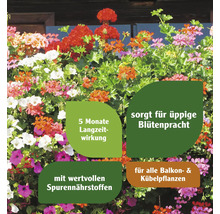 Blühende Balkonpflanzen mit Informationen zu Langzeitwirkung, Blütenpracht und Spurennährstoffen