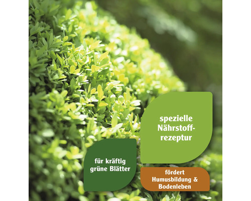 Nahaufnahme von Pflanzen mit dem Hinweis spezielle Nährstoffrezeptur, für kräftig grüne Blätter, fördert Humusbildung und Bodenleben.