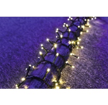 Guirlande lumineuse avec des lumières brillantes enroulée autour d''une branche