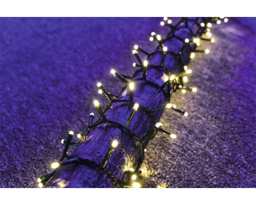 Guirlande lumineuse avec des lumières brillantes enroulée autour d''une branche