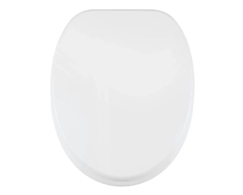 Toilettendeckel aus Kunststoff
