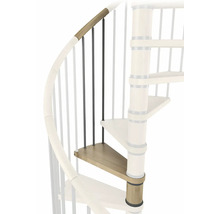 Detail einer Wendeltreppe mit Stufen, Geländer und Pfosten