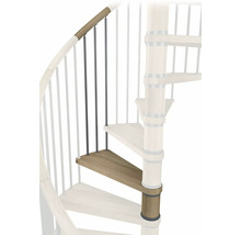 Detail einer Wendeltreppe mit Holzstufen und Metallgeländer