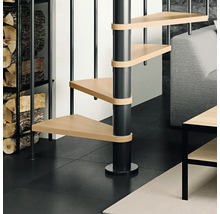 Escalier en colimaçon avec marches en bois et rampe en métal à l''intérieur