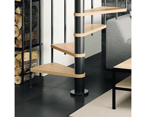 Escalier en colimaçon avec marches en bois et rampe en métal à l''intérieur