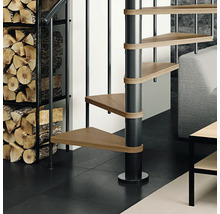 Ambiance intérieure avec escalier en colimaçon en bois et métal