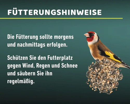 Hinweise zur Vogelfütterung mit Goldammer auf Futterball