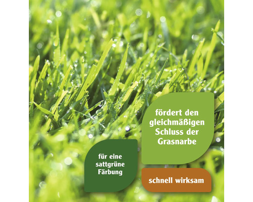 Nahaufnahme von Rasen mit Hinweisen zu Produkteigenschaften