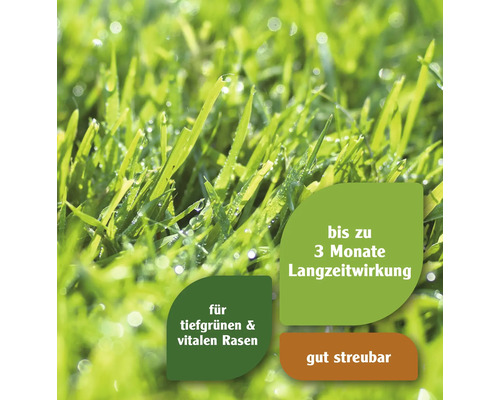 Nahaufnahme von Rasen mit der Aufschrift bis zu drei Monate Langzeitwirkung, für tiefgrünen und vitalen Rasen, gut streubar.